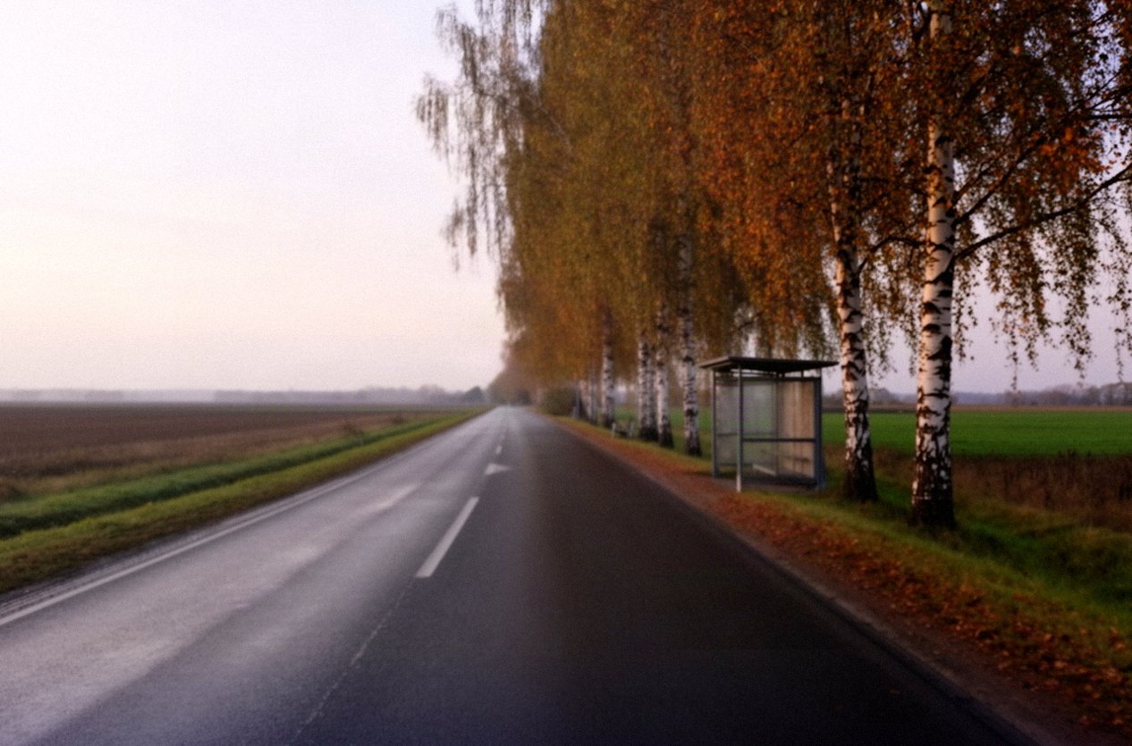 Droga krajowa prowadząca do Bartoszyc wśród pól północnej Warmii