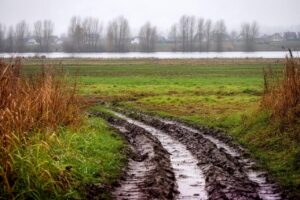Bartoszyce: jakie województwo, powiat i czy to jeszcze Warmia