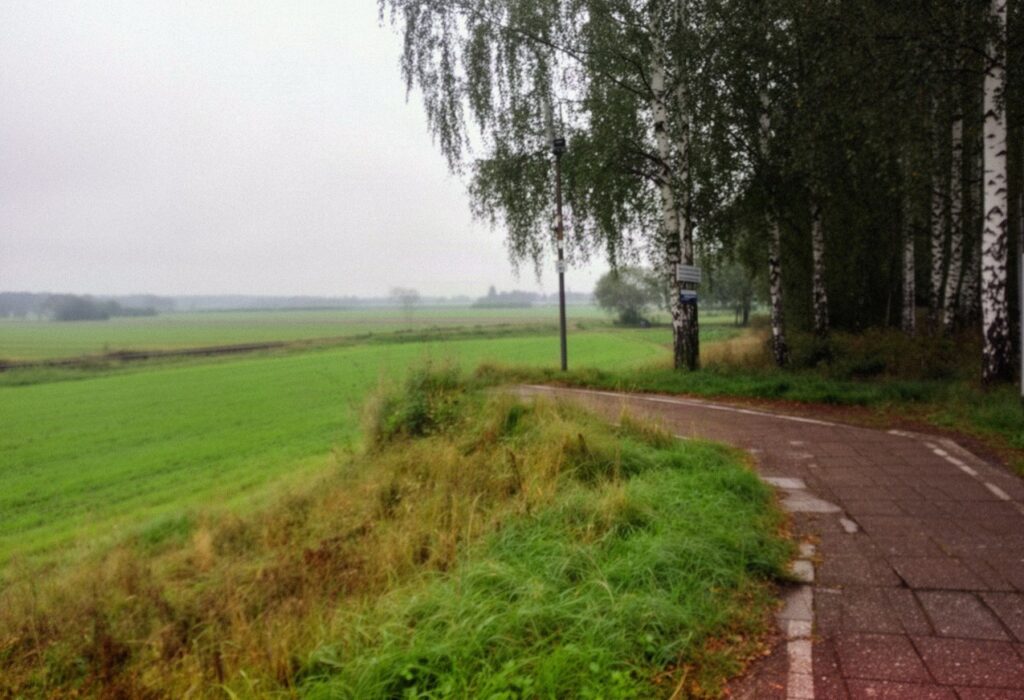 Stary, zarośnięty peron dawnego przystanku kolejowego